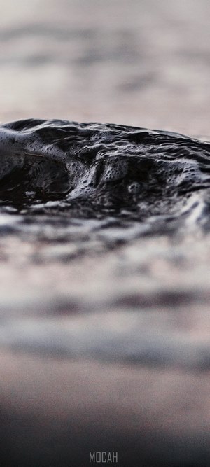 Close-up of dark, wet rock with foam