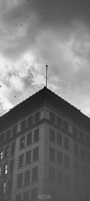 Building corner with spire and birds
