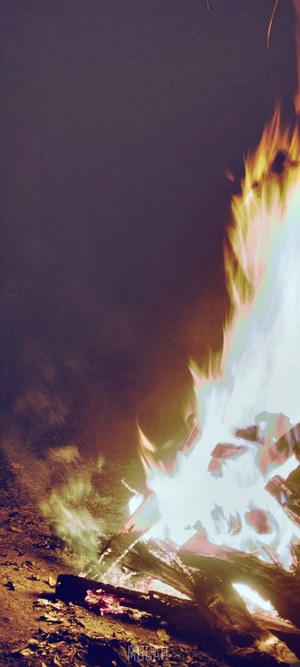 Campfire with flames and logs