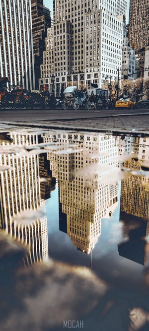 Horse-drawn carriages and yellow taxi reflected in a puddle in New York City