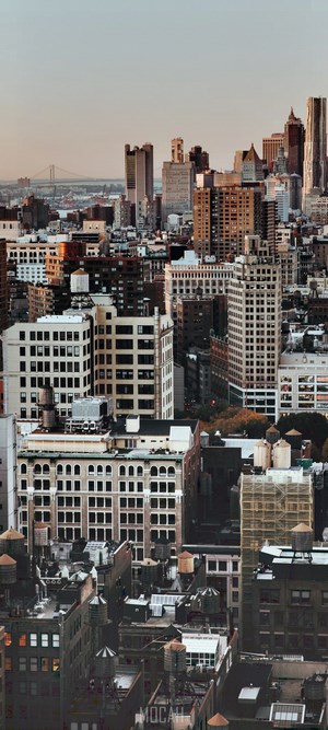 New York City Skyscraper Rooftops at Dusk