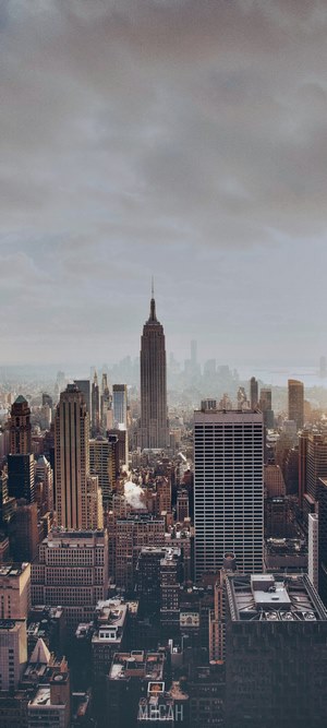 Empire State Building and New York City Skyline