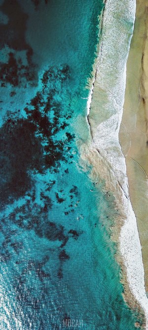 Aerial view of surfers in turquoise ocean water near a sandy beach