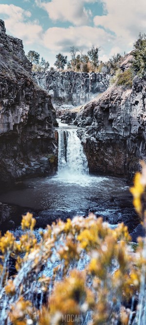 Waterfall cascading into a rocky gorge with foliage