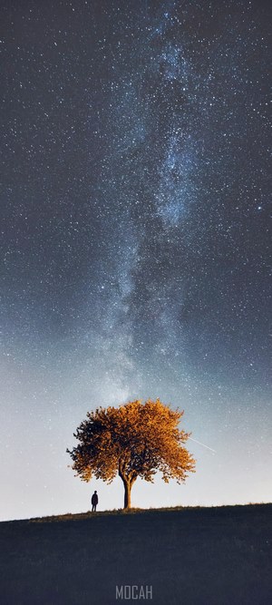 Man and tree under the Milky Way