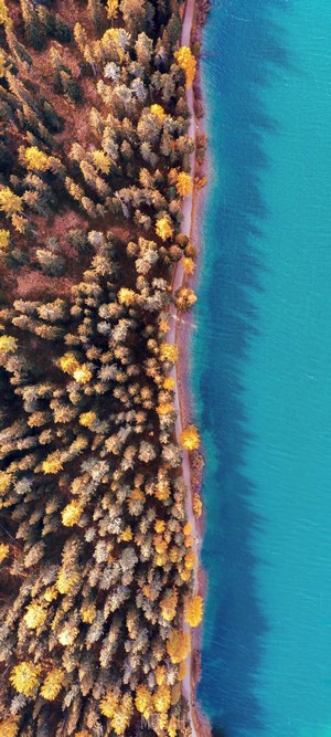 Aerial view of autumn forest and turquoise lake