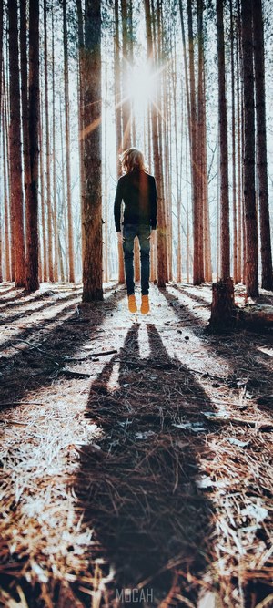 Person jumping in a sunlit forest