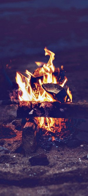 Bonfire on the beach at night