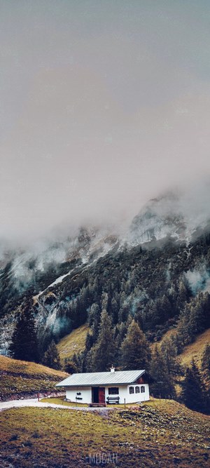 Misty Mountain Cabin with Pine Trees