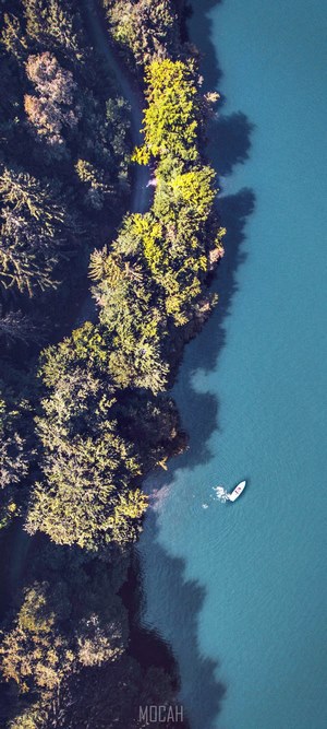 Aerial view of a boat on a lake next to a forest