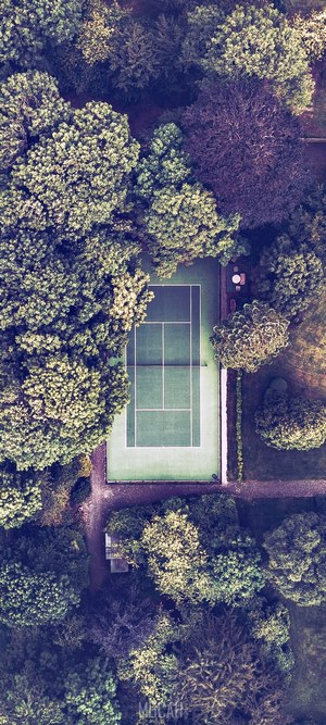 Drone shot of a tennis court surrounded by trees