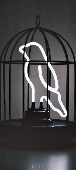 White bird neon light inside a cage lamp