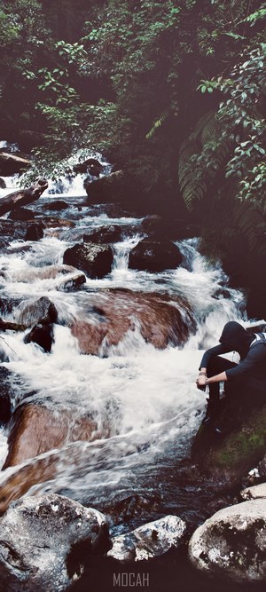 Person sitting by a waterfall in a forest