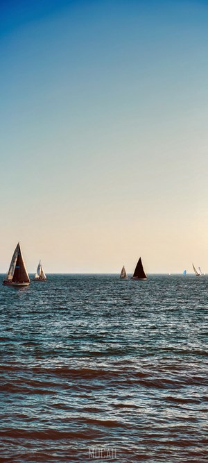 Sailboats on the ocean under a clear sky