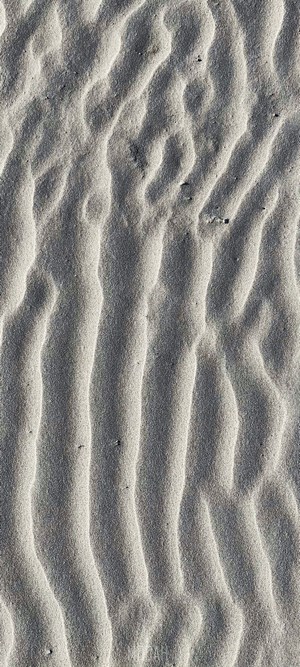 Sand ripples on a beach