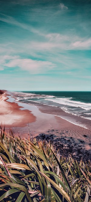 Serene Coastal Beach with Ocean Waves