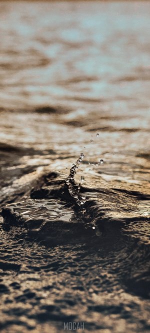 Water splash on a lake surface