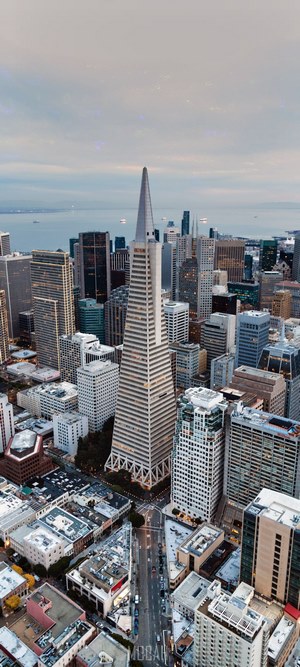 Transamerica Pyramid in San Francisco Downtown