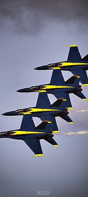Blue Angels Navy Precision Planes Training Sortie