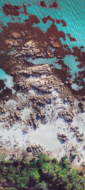 Aerial view of rocky coastline with turquoise water and green trees