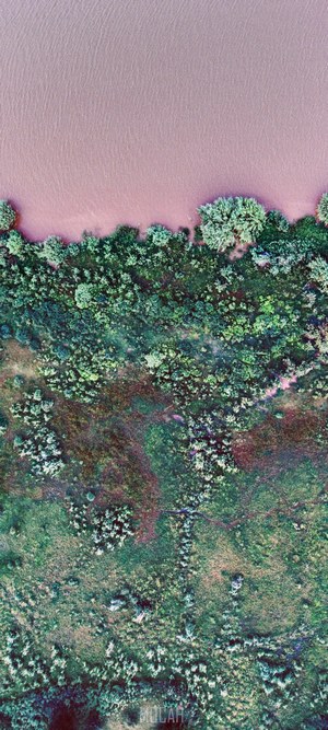 Pink river and green vegetation from above