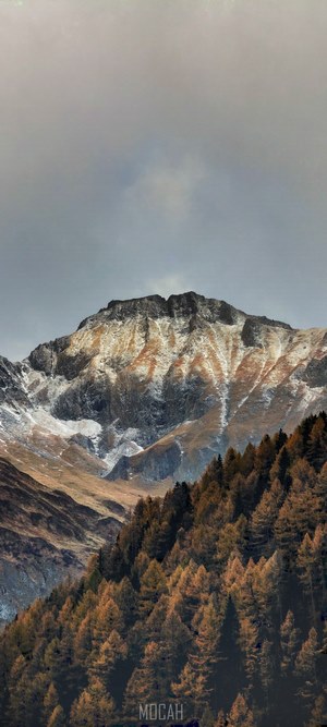 Mountain peak with autumn trees and snow