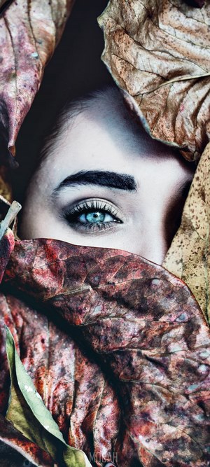 Close-up of a woman's eye peeking through autumn leaves