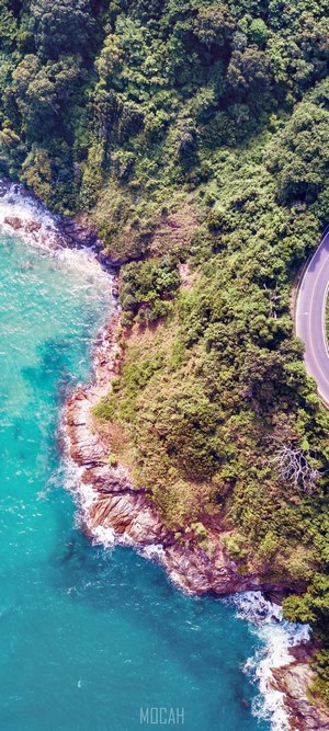 Aerial view of a coastal road through a forest