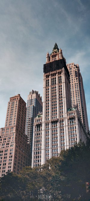 Skyscrapers in a city with trees