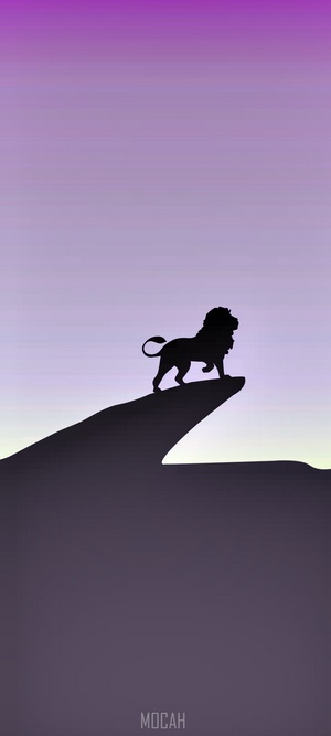 Lion silhouette on a rock at sunset