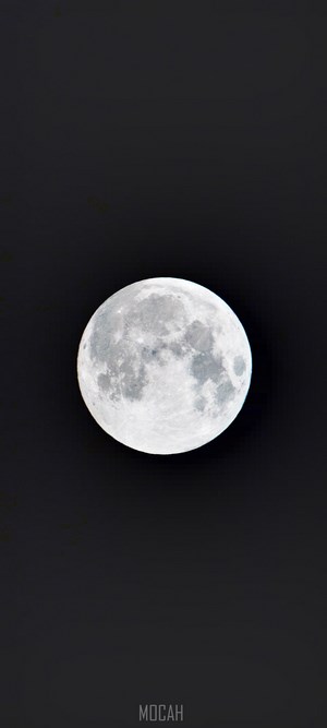 Full Moon on a Dark Background