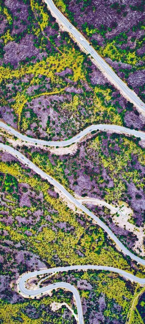 Aerial view of a winding road through a colorful landscape