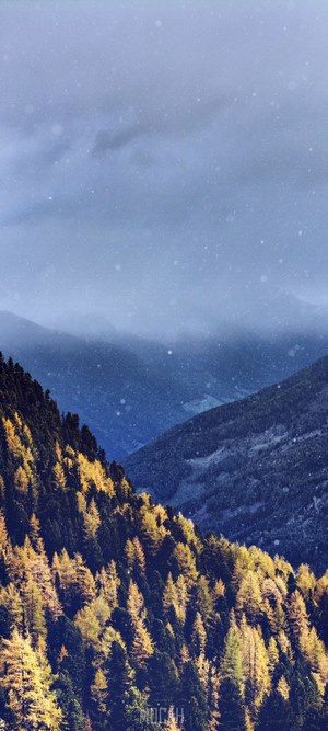 Autumnal snowfall over mountain forest