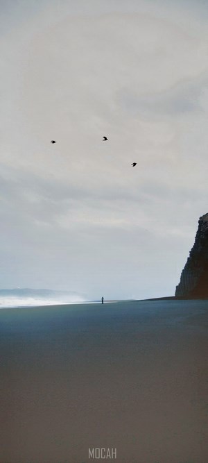 Person on a beach with cliffs and birds