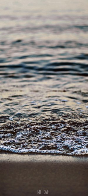 Sea wave on the coast