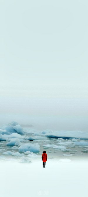 Person in red jacket on ice floes