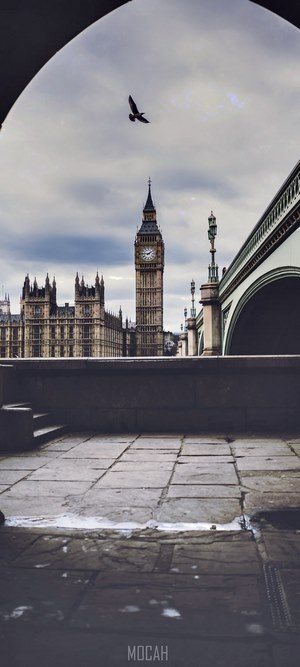 Big Ben and Houses of Parliament with a bird flying