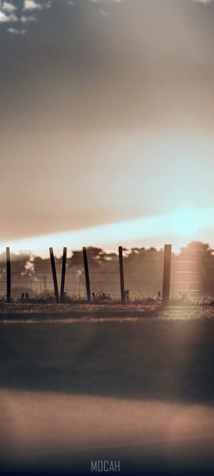 Sunset over a fence line