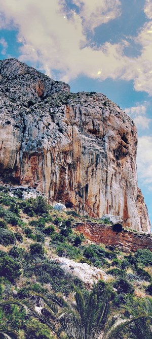 Mountain rock cliff with clouds and palm trees