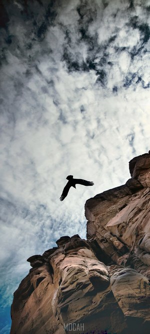 Bird flying near rock formation under cloudy sky