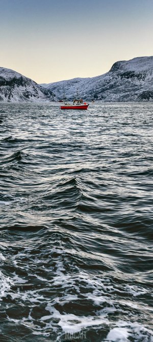 Red boat on a choppy sea with snow-capped mountains