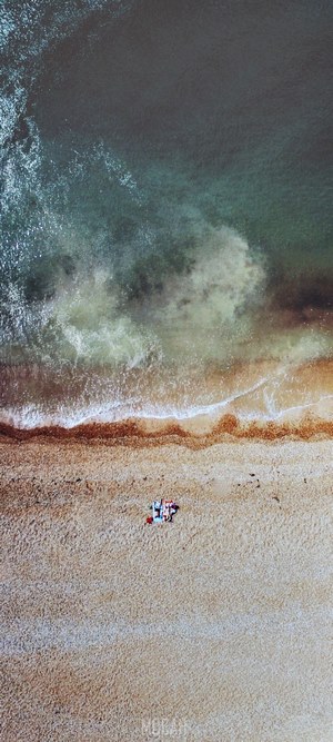 Two people on a beach near the ocean