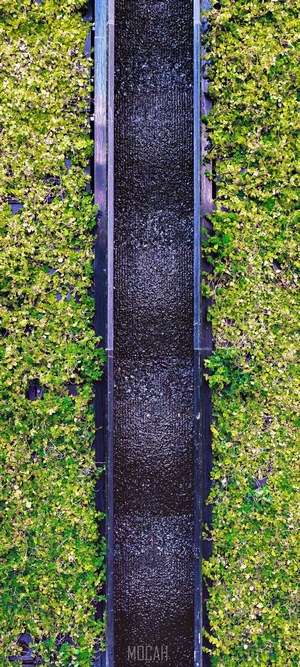 Water feature with green foliage