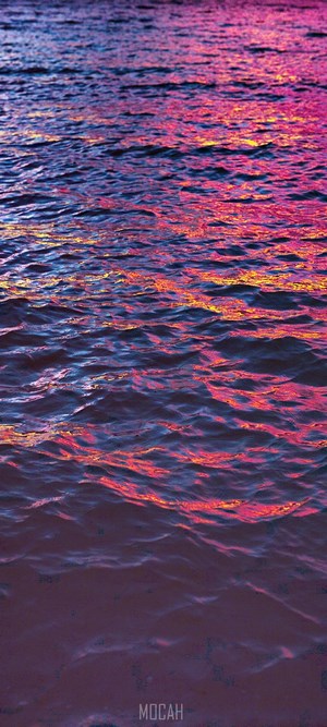 Water reflecting pink and blue sunset