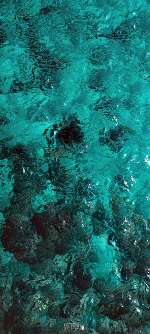 Turquoise water over coral reef