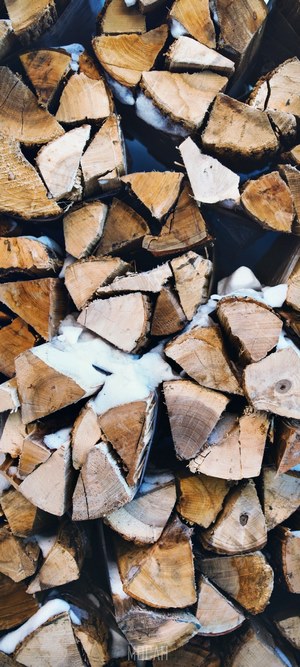 Pile of firewood with snow