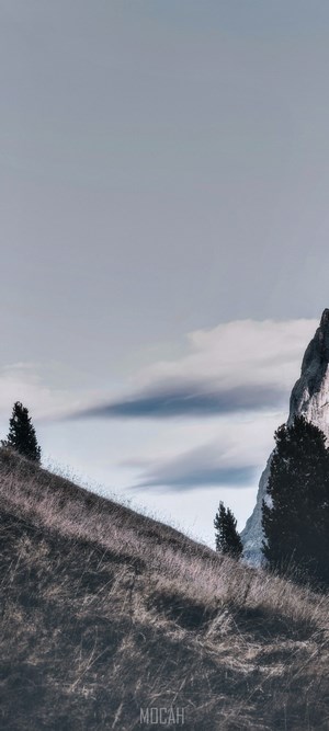 Mountainous landscape with trees and clouds