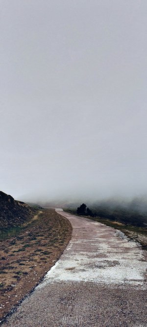 Foggy hiking trail on a mountain
