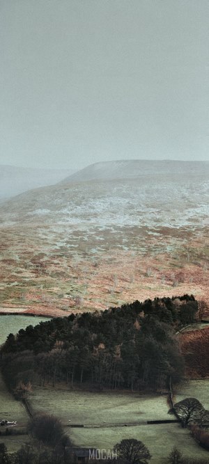 Misty hills with snow patches and a forest