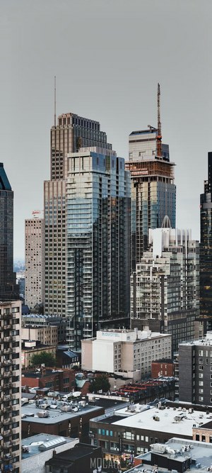 Cityscape with skyscrapers and construction cranes